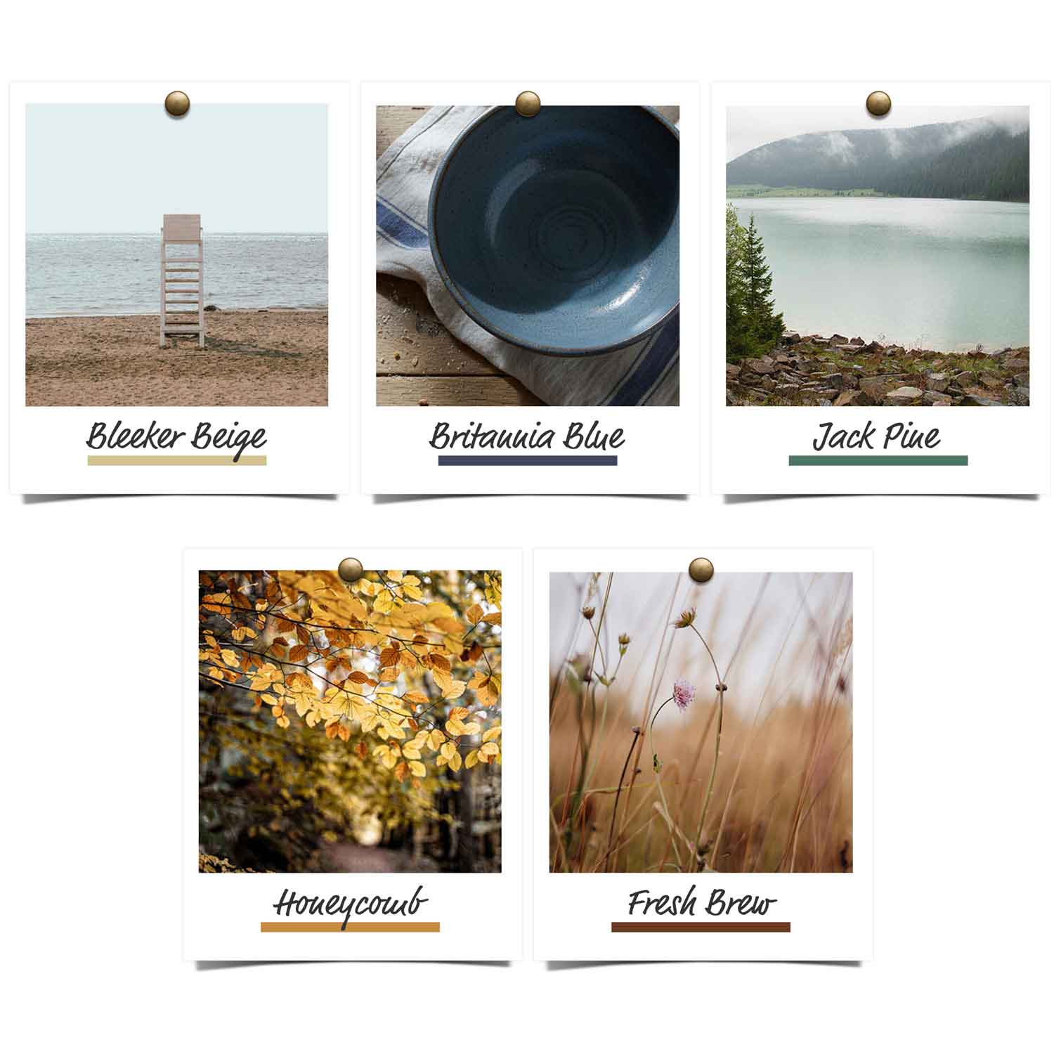 IBassett&rsquo;s 2026 Colors of the Year